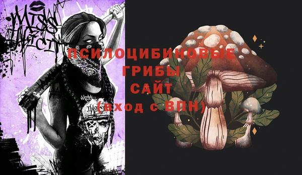 метамфетамин Алексин