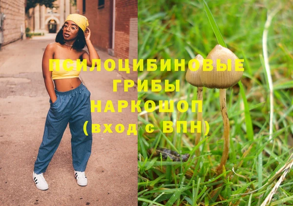 mdma Медвежьегорск